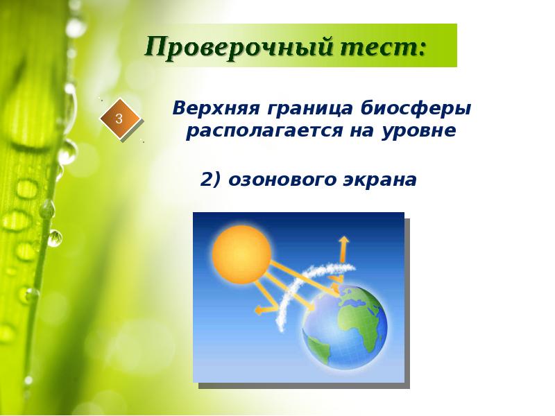 Биосфера оболочка жизни 6 класс тест ответы. Верхняя граница биосферы располагается на уровне. Биосфера оболочка жизни. Контрольная работа Биосфера оболочка жизни. 6 Класс контрольная работа по теме "Биосфера — оболочка жизни".