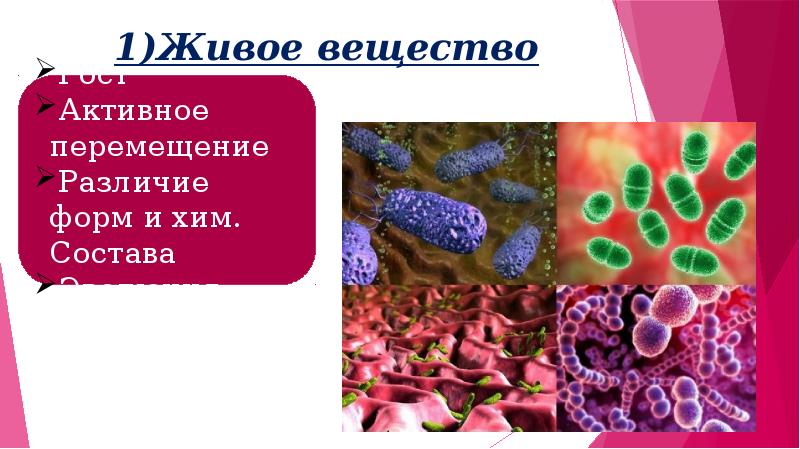 Активное живое вещество. Живое вещество. Презентация живое вещество. Живое вещество картинки. Живое вещество выставка.