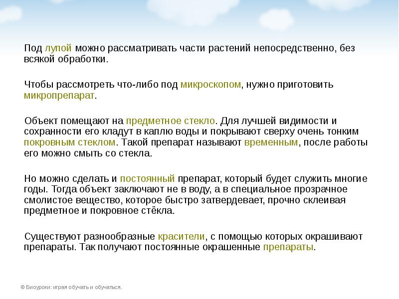 Под лупой можно рассматривать части растений непосредственно, без всякой обработки. Чтобы