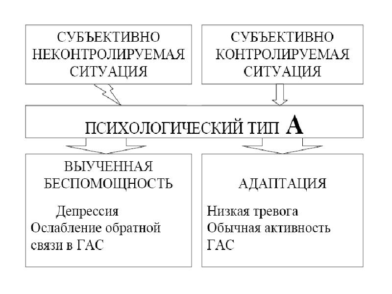 Биологические основы поведения