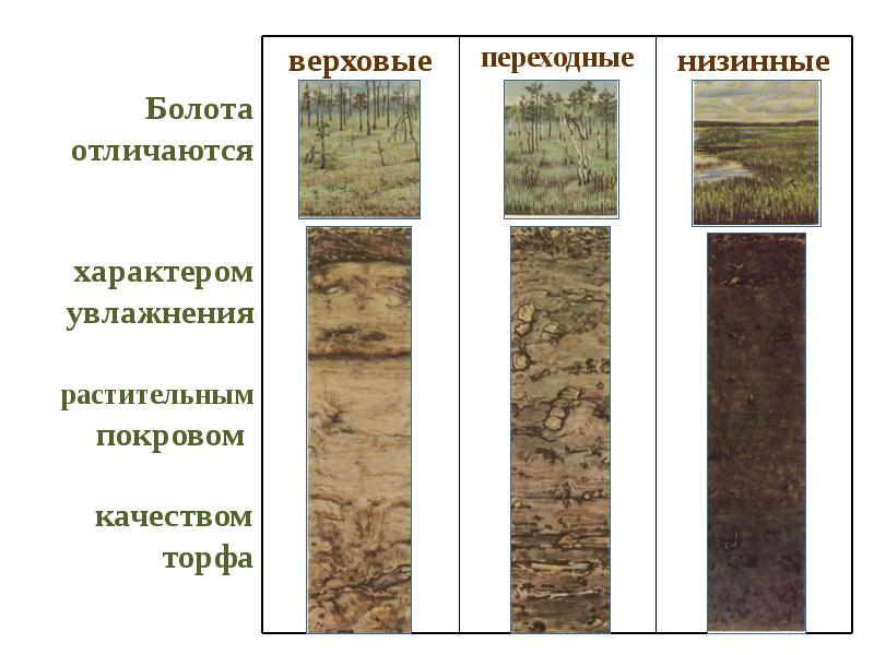 Растительный покров это почва. Почва. Почвы Ульяновской области. Типы почв Ульяновской области. Почвенно растительный Покров.