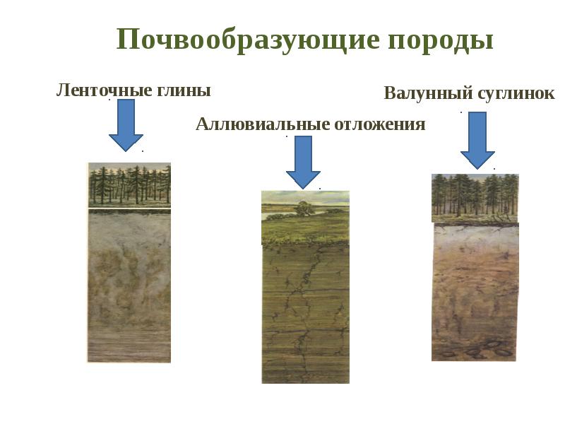 Карта почвообразующих пород россии