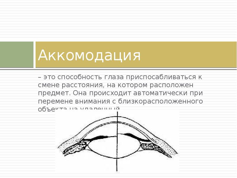 Аккомодация глаза