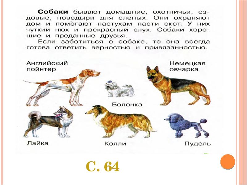 Породы собак презентация 1 класс школа россии