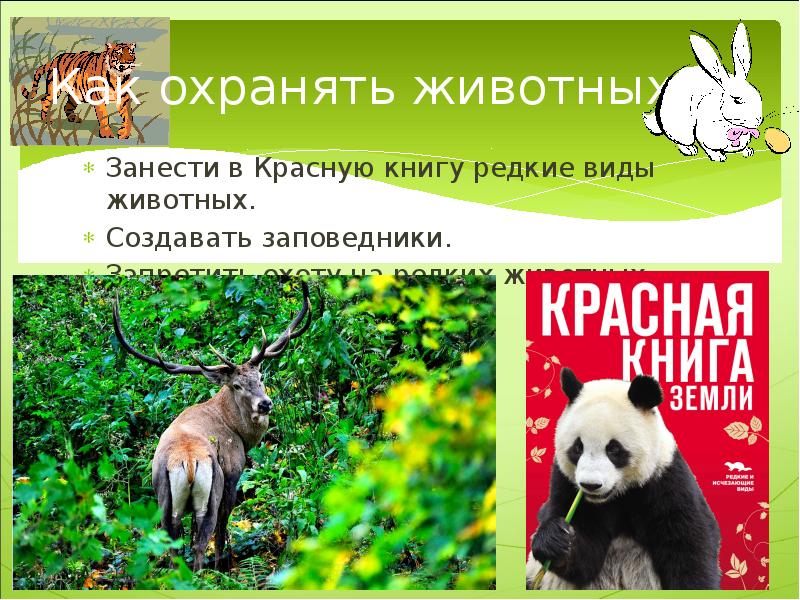 Какие охраняемые животные. Охрана животных. Охрана животных красная книга. Природу надо охранять презентация. Охраняемые животные красной книги.