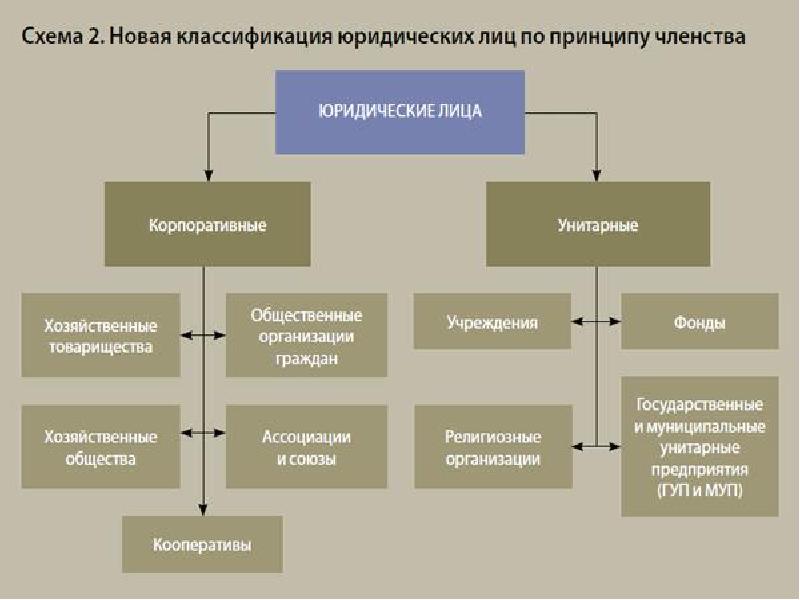 Виды коммерческих юридических лиц схема