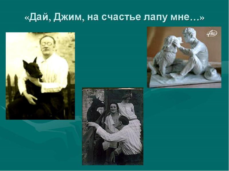 Собаке качалова. Есенин Джим дай лапу. Дай Джим на счастье лапу мне. Дай на счастье лапу мне Есенин. Стихотворение дай Джим на счастье лапу мне.