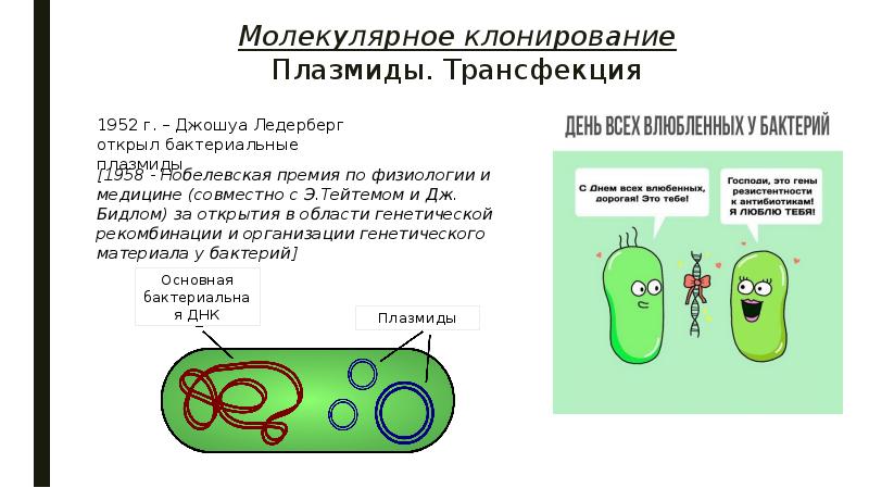 Трансфекция это