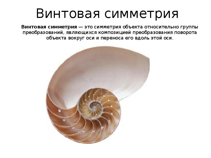 Винтовая симметрия
Винтовая симметрия — это симметрия объекта относительно группы преобразований, являющихся композицией преобразования поворота Винтовая симметрия
Винтовая симметрия — это симметрия объекта относительно группы преобразований, являющихся композицией преобразования поворота