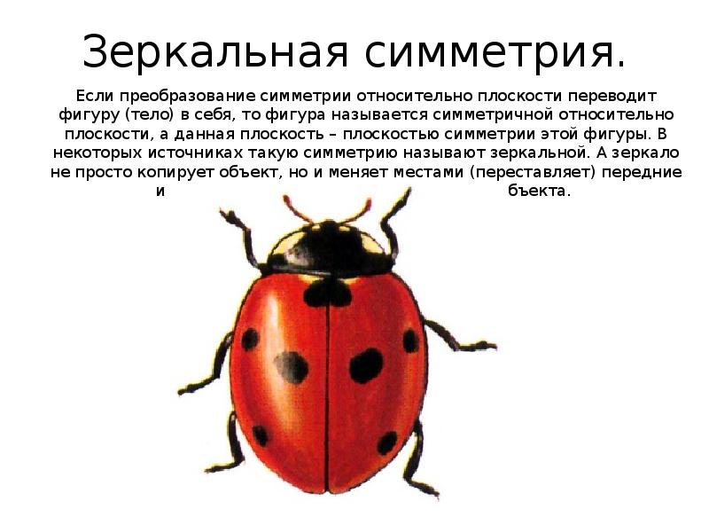 Зеркальная симметрия.
Если преобразование симметрии относительно плоскости переводит фигуру (тело) в Зеркальная симметрия.
Если преобразование симметрии относительно плоскости переводит фигуру (тело) в