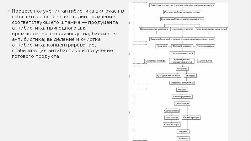 Блок схема производства антибиотиков