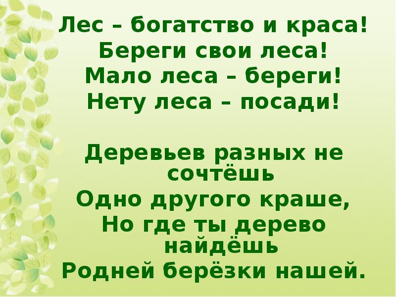 Презентация лес наше богатство для подготовительной группы