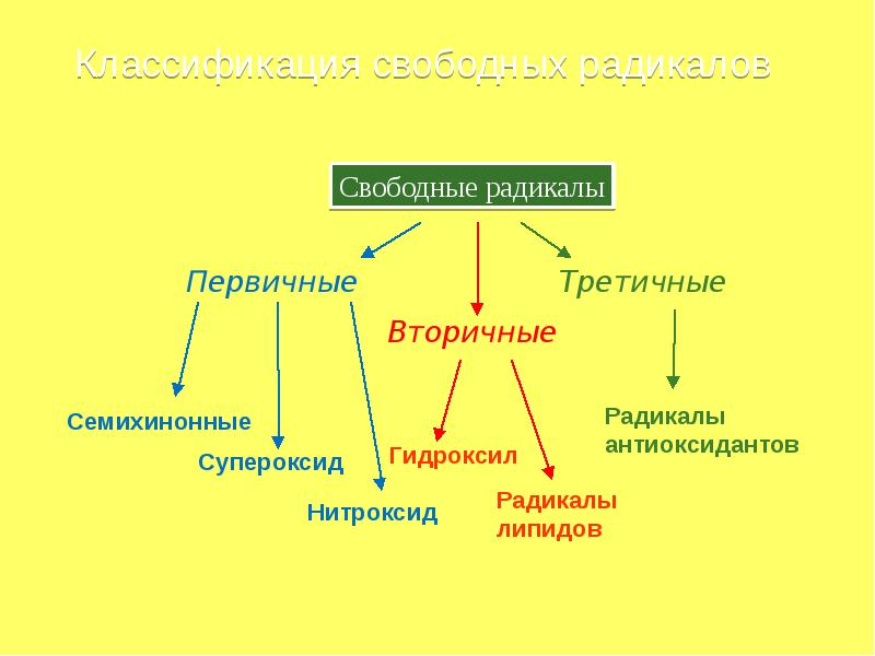 Презентация на тему радикалы