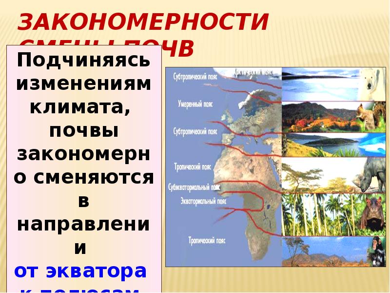 Почвы 7 класс. Закономерности смены почв. Смена почв с высотой. По какой закономерности и почему меняются почвы в России?.