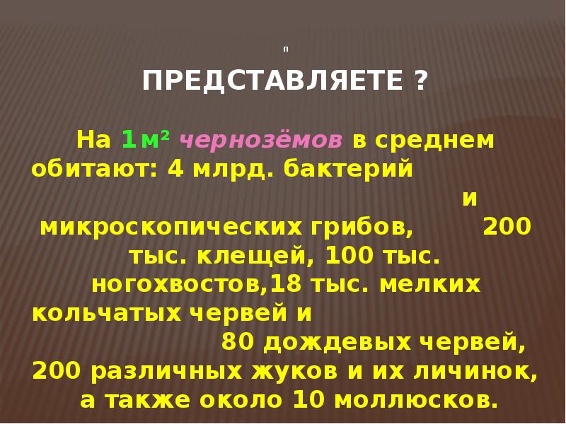 Почва проект 11 класс