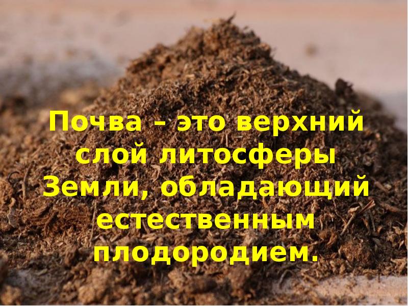 Как определить плодородие почвы география огэ. География почв. Верхний слой земли обладающий плодородием это. Почва 6 класс. Естественное плодородие почвы ОГЭ.