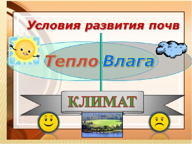 Презентация почвы 6 класс география полярная звезда