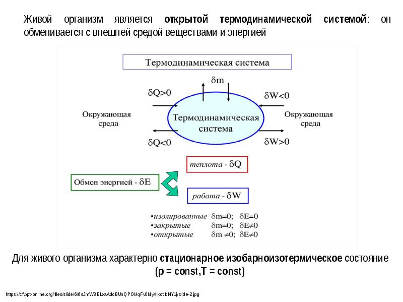 Между систем. Термодинамическая система и окружающая среда. Обмен энергией между системой и окружающей средой. Открытые системы обмениваются с внешней средой. Обмен системы веществом энергией работой.