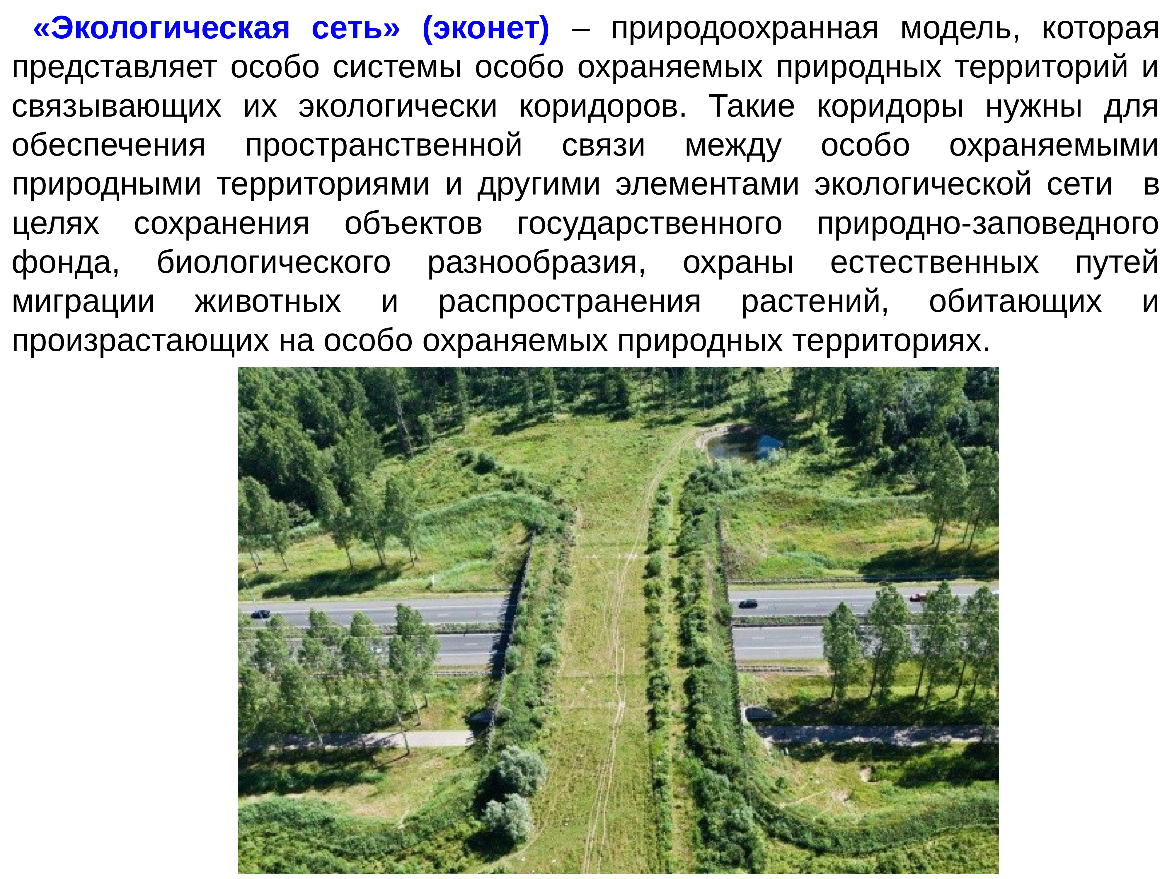 Природоохранные территории беларуси презентация