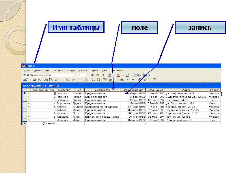 Название поля. Табличная база данных поле и запись. Поле табличной базы данных это. Поля таблицы. Запись в базе данных это.