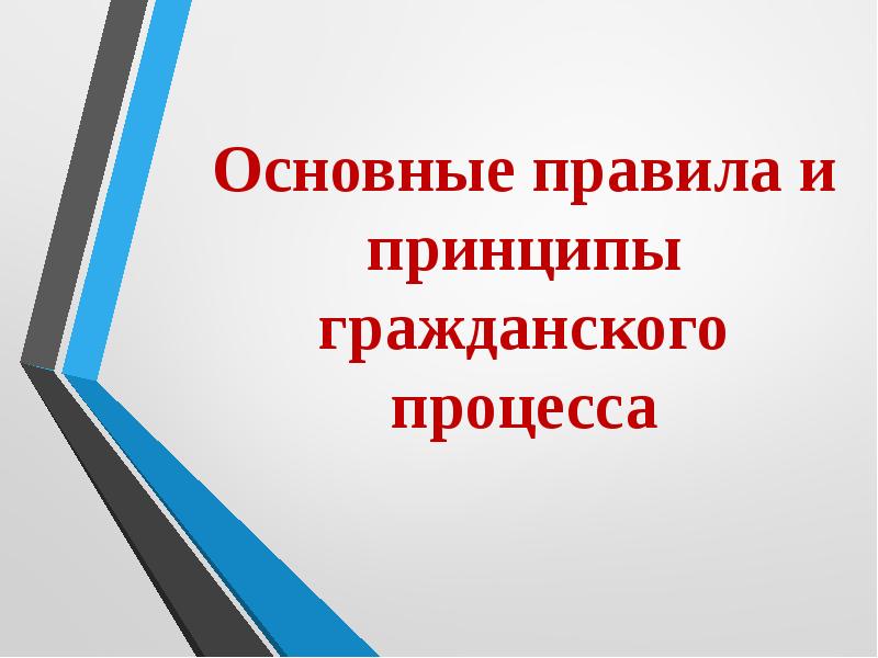 Основные правила и принципы гражданского процесса презентация