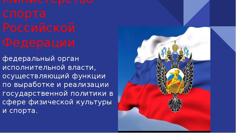 Грант министерства спорта рф для со нко реализующим проекты в сфере фкис