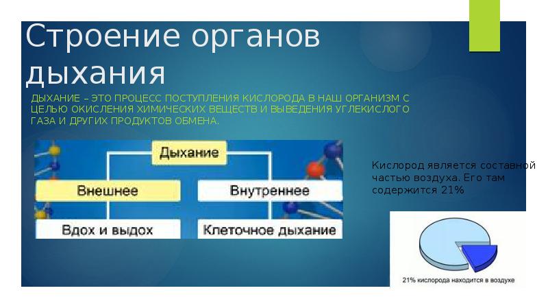 Строение обмен. Процесс поступления кислорода. Процесс поступления в организм кислорода и выведения. Элиминация углекислого газа это. Вдох это активный процесс поступления.