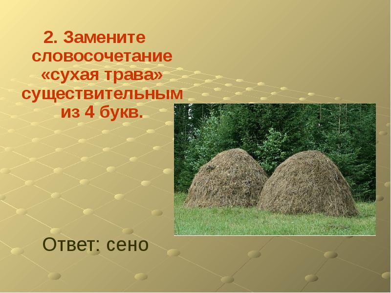 Сухой 4 буквы. Сухая трава 4 буквы. Загадка с ответом сено. Как написать сухая трава четырьмя буквами. Загадки про сено с ответами 2 класс.