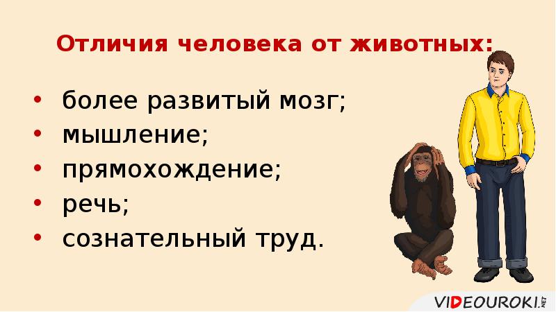 Различия людей