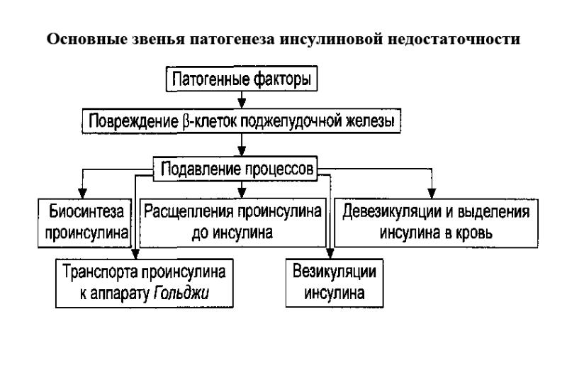 Патофизиология углеводного обмена презентация