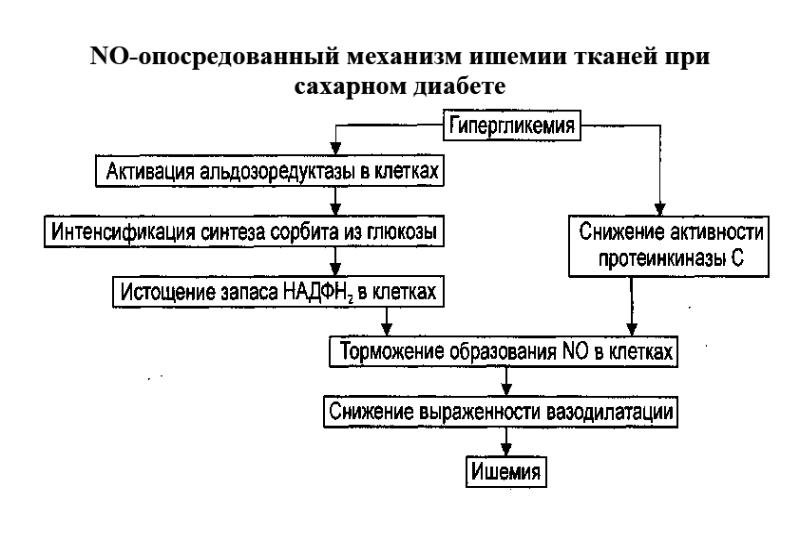 Патофизиология углеводного обмена презентация