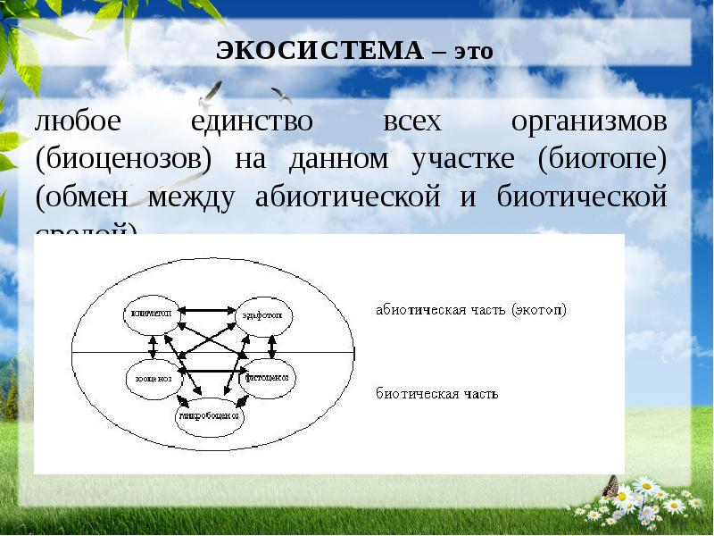 Основные поставщики энергии в биоценозе