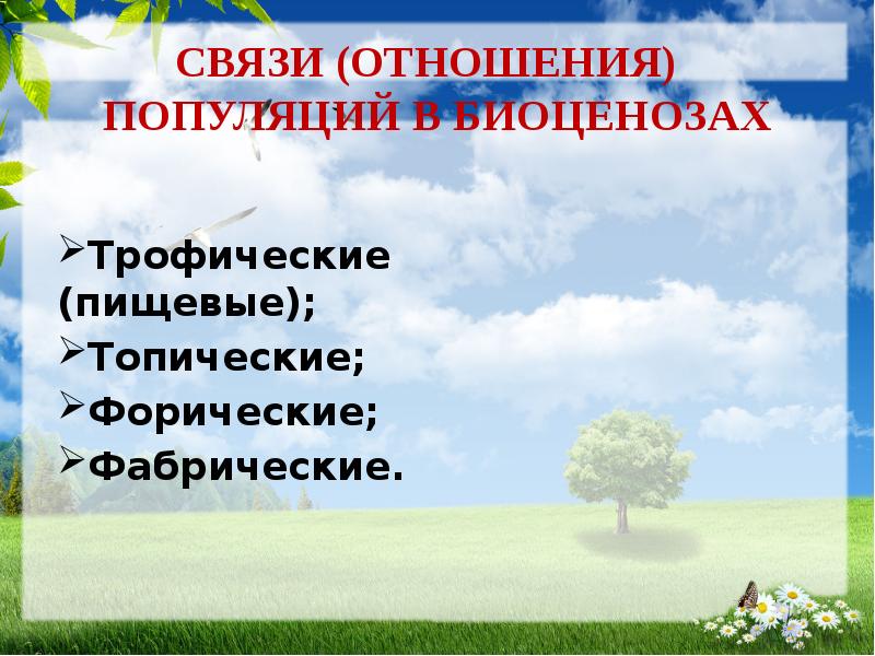 Продукция биоценоза