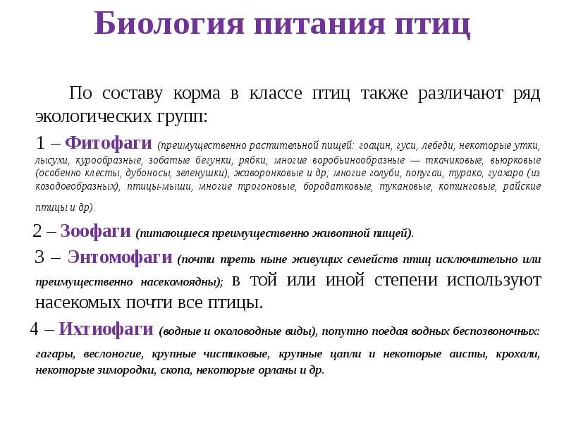 Биологические особенности птиц. Биологические особенности сельскохозяйственной птицы. Хозяйственно-биологические особенности птицы. Биологические особенности уток. Основные биологические особенности птиц.