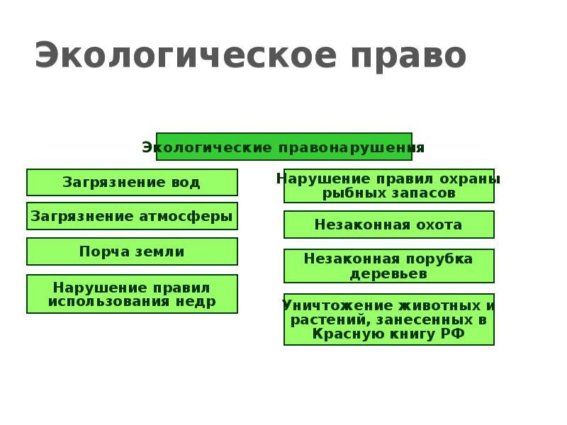 Окружающая среда план егэ