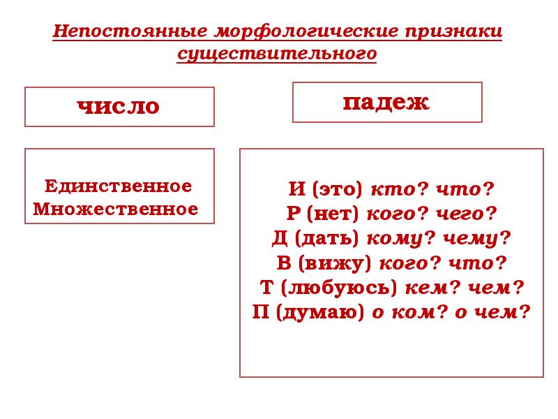 Морфологический разбор сущ презентация