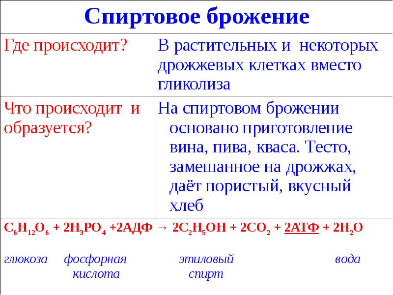 Энергетический обмен презентация 11 класс биология - 86 фото