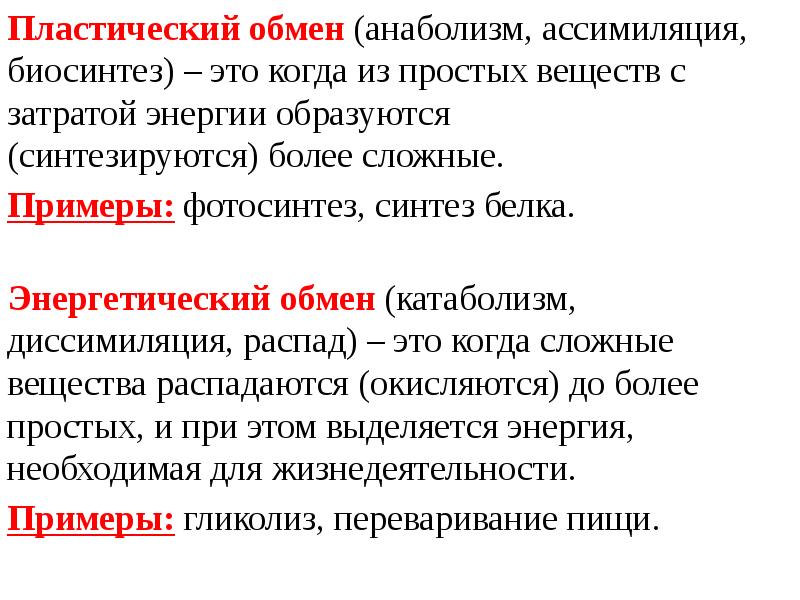 Презентация по биологии 8 класс пластический и энергетический обмен