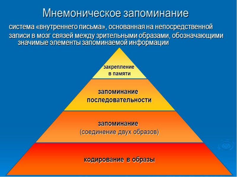 Познавательные процессы память презентация