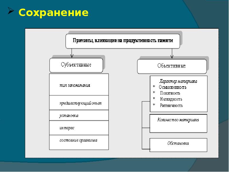 Познавательные процессы память презентация