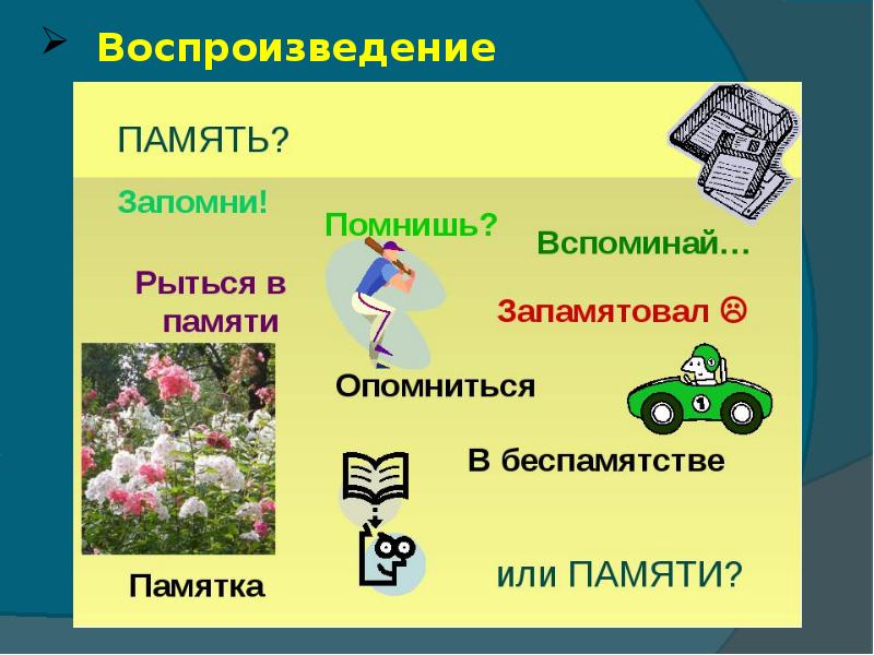 Презентация на тему внимание память