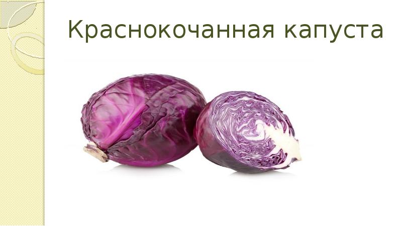 Опыты с краснокочанной капустой