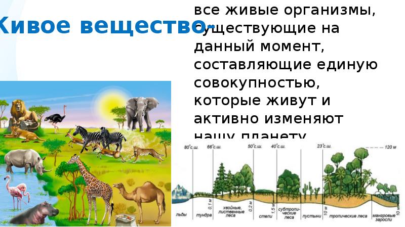 Запишите слово пропущенное в схеме присоединение земель поволжья иваном 4