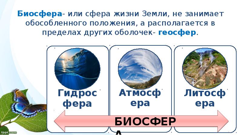 Презентация биосфера сфера жизни 6 класс география полярная звезда