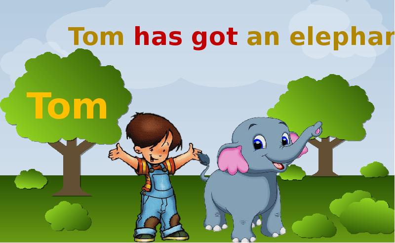 Tom has already. Tom has got. An Elephant has got a. Tom has got a Radio. Tom has got Art.