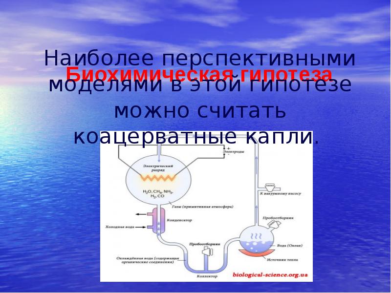 Гипотеза биохимической эволюции презентация