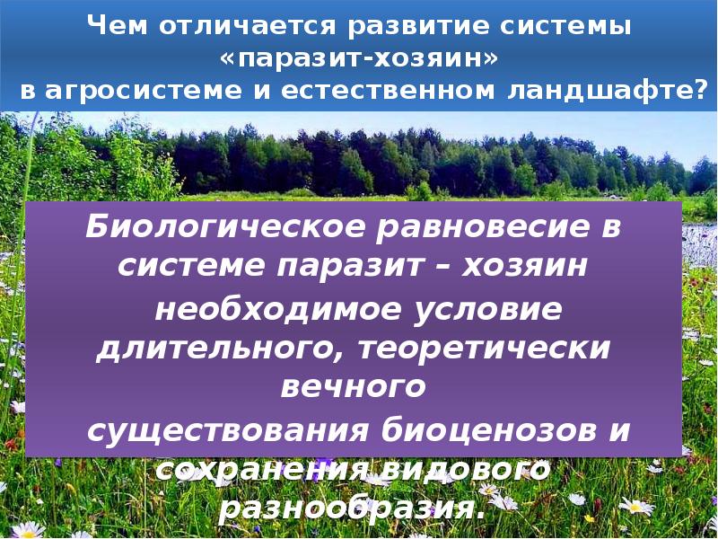 биологическое равновесие. биологическое равновесие. биологическое равновесие. равновесие в природе. биологическое равновесие.