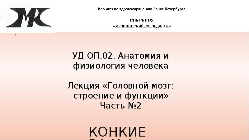 Конкиева Н.А.