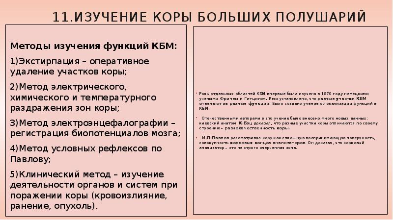 11.Изучение коры больших полушарий  Методы изучения функций КБМ: 1)Экстирпация –