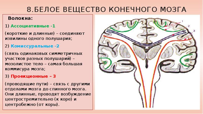 Конечное соединение